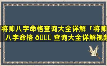 将帅八字命格查询大全详解「将帅八字命格 🍀 查询大全详解视频」